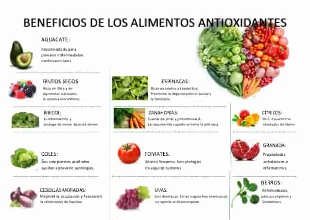 La importancia de los antioxidantes en la dieta y su papel en la prevención del envejecimiento prematuro.