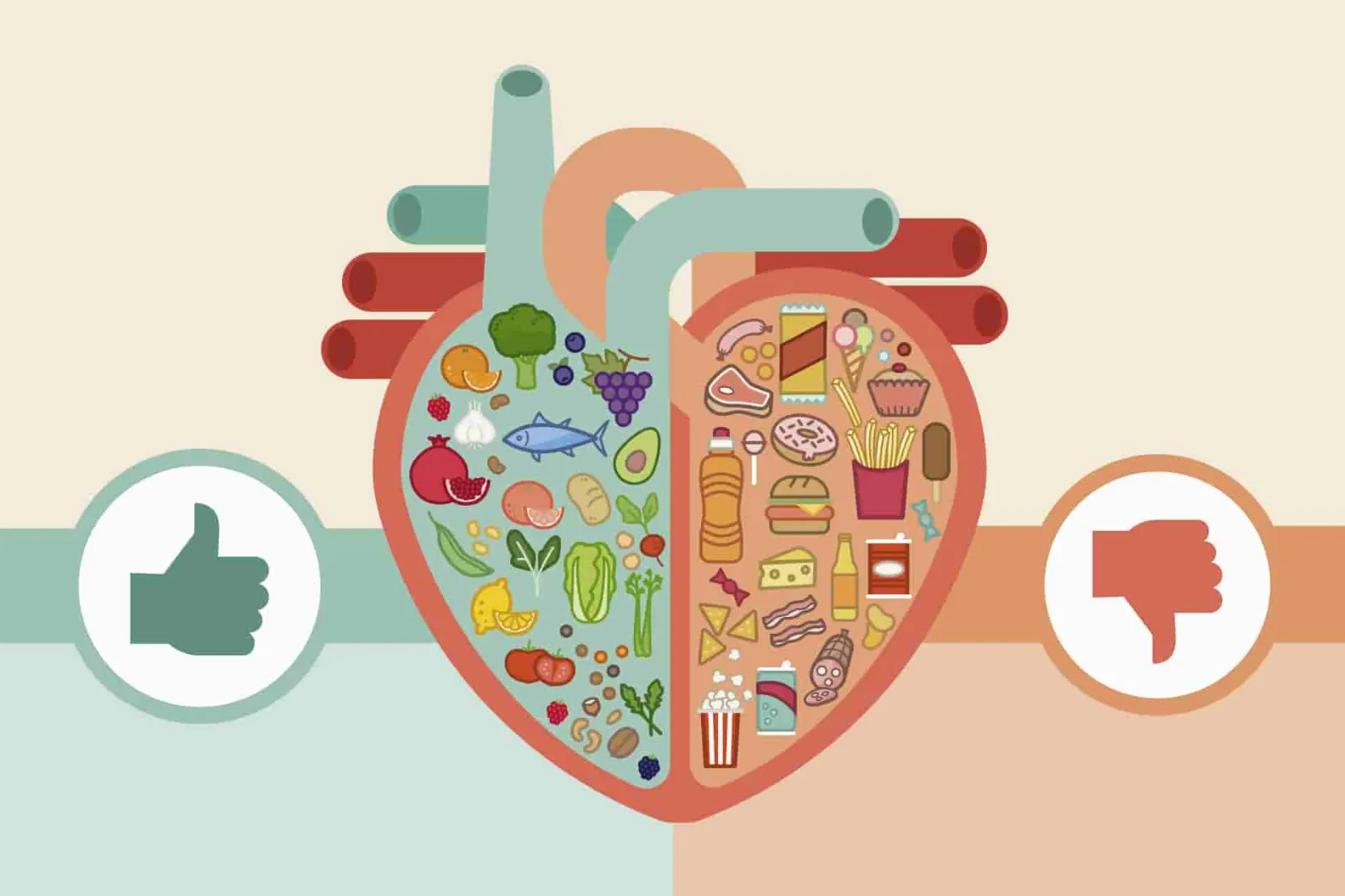 La relación entre la dieta y la salud cardiovascular: consejos para un corazón saludable.